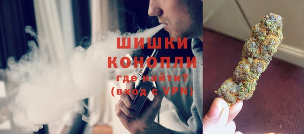 spice Осинники