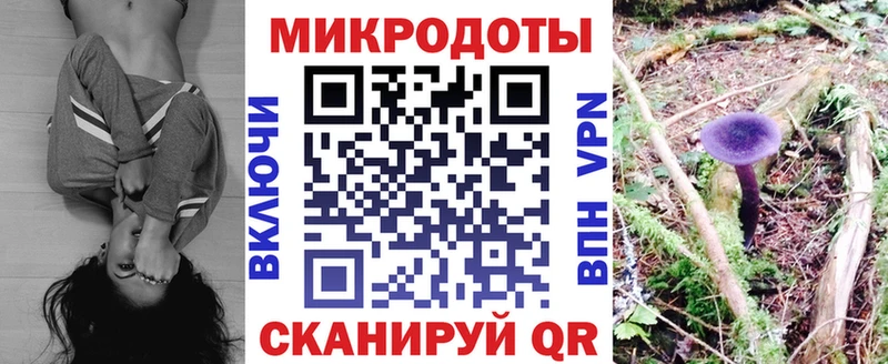 мориарти формула  дарнет шоп  Ладушкин  Псилоцибиновые грибы Psilocybine cubensis  ОМГ ОМГ  